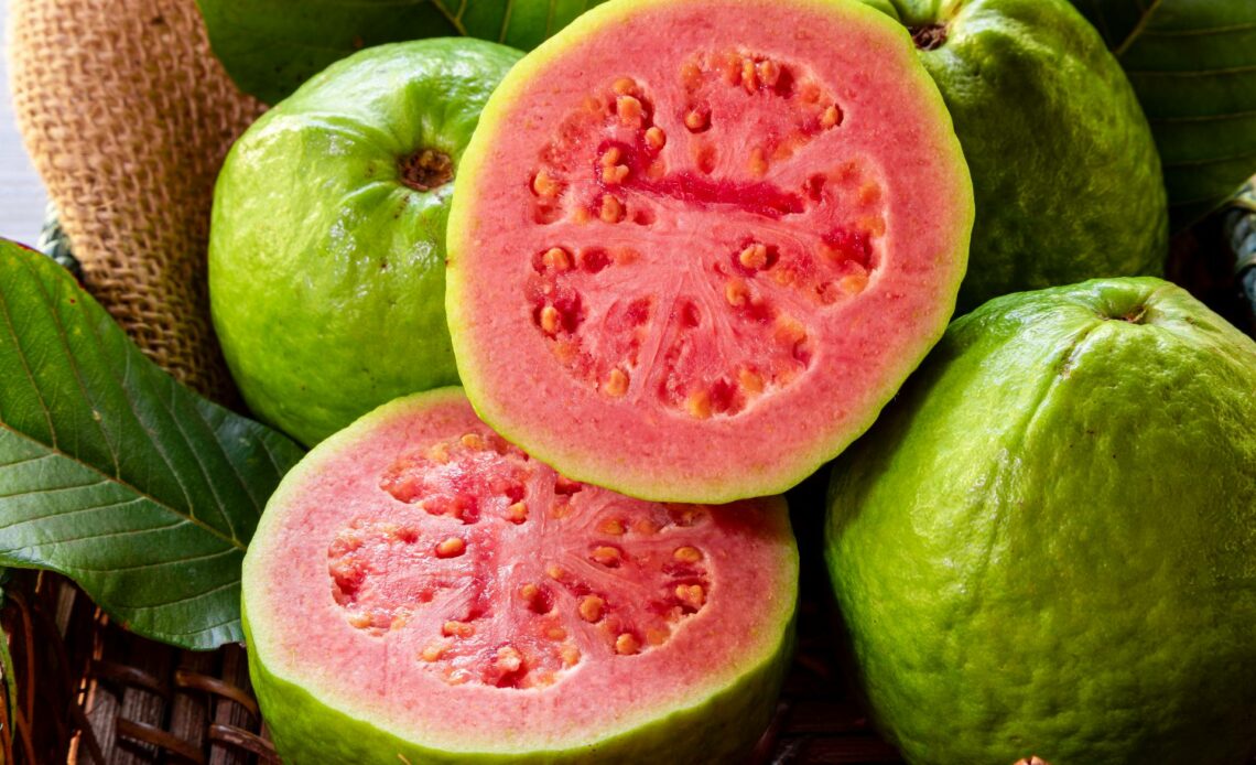 guava